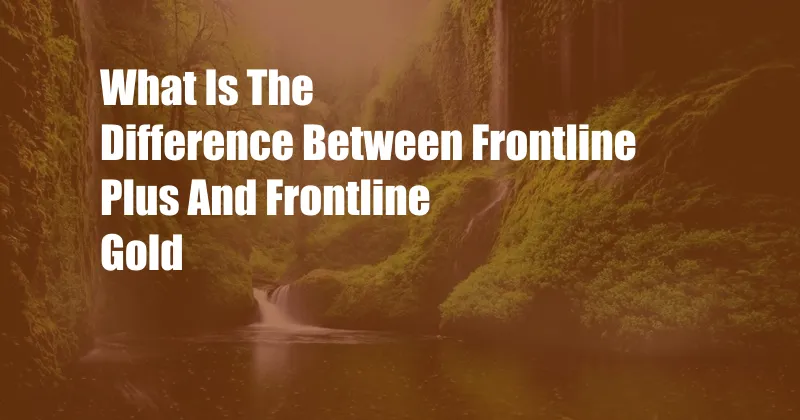 What Is The Difference Between Frontline Plus And Frontline Gold