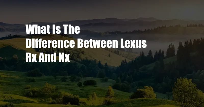 What Is The Difference Between Lexus Rx And Nx
