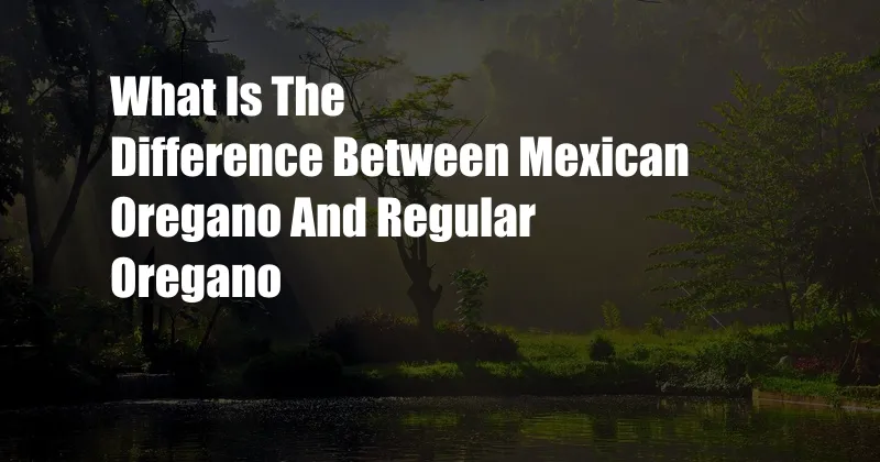 What Is The Difference Between Mexican Oregano And Regular Oregano