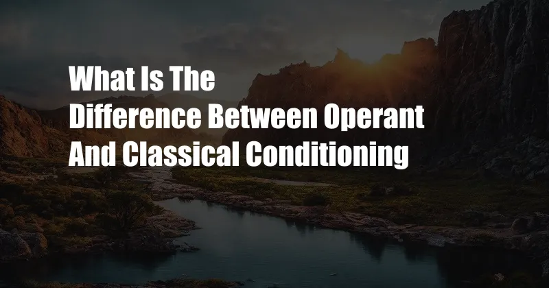 What Is The Difference Between Operant And Classical Conditioning