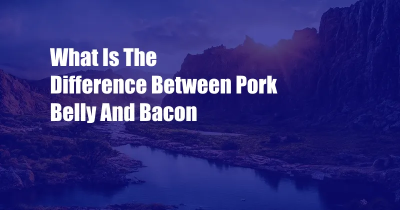 What Is The Difference Between Pork Belly And Bacon