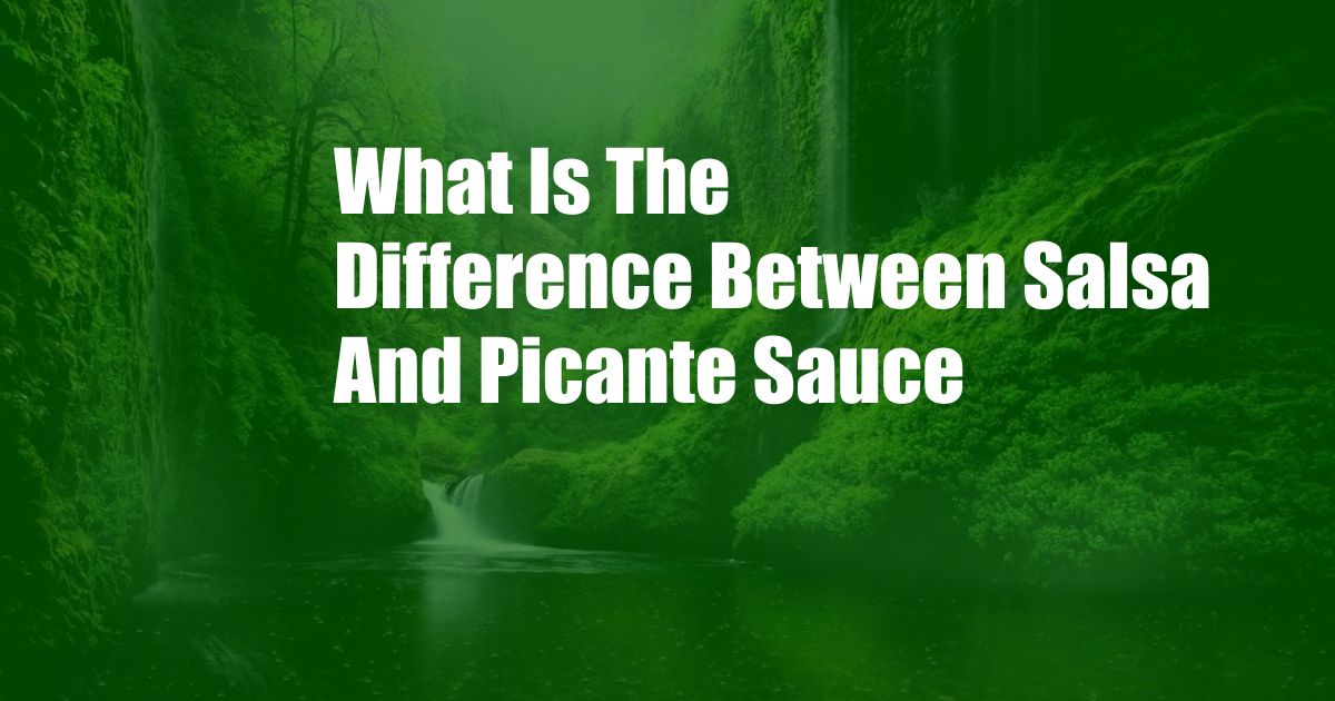 What Is The Difference Between Salsa And Picante Sauce