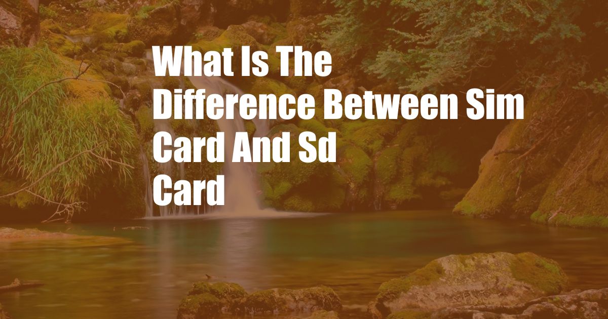 What Is The Difference Between Sim Card And Sd Card