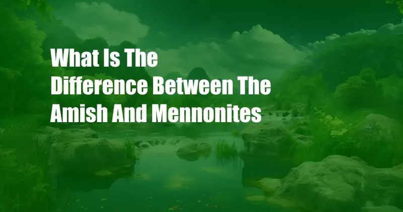 What Is The Difference Between The Amish And Mennonites