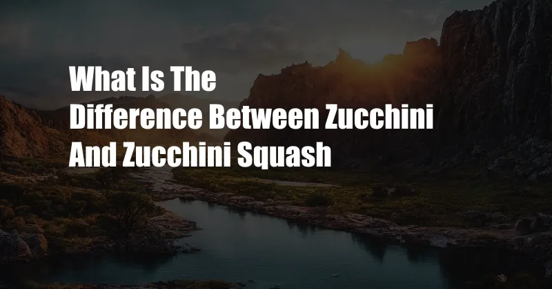 What Is The Difference Between Zucchini And Zucchini Squash