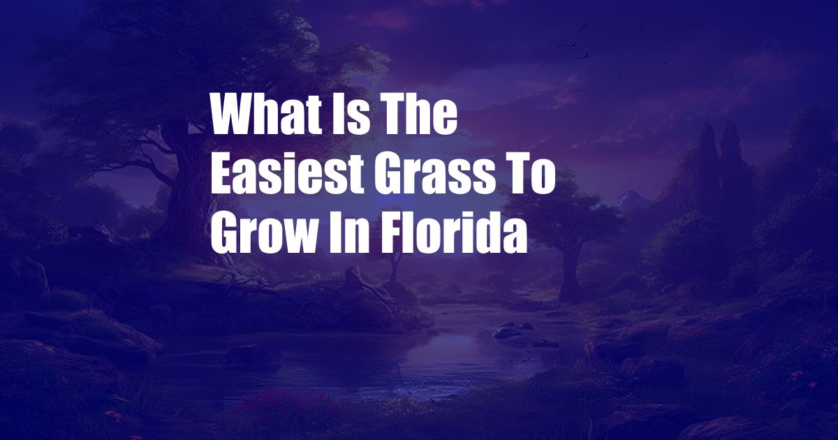 What Is The Easiest Grass To Grow In Florida