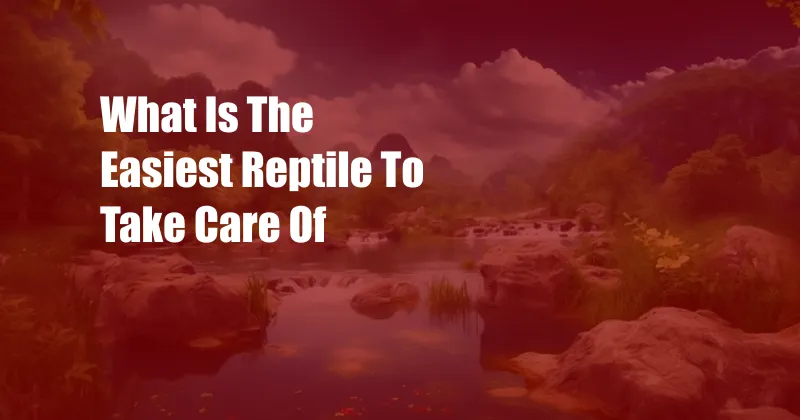 What Is The Easiest Reptile To Take Care Of