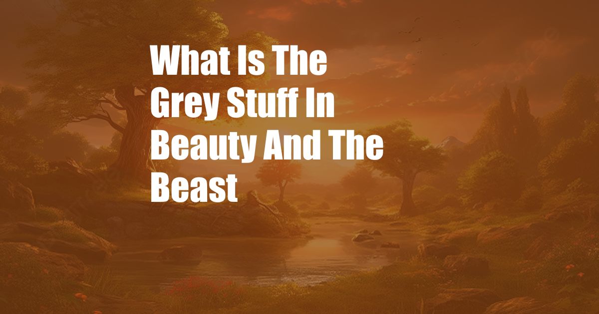 What Is The Grey Stuff In Beauty And The Beast