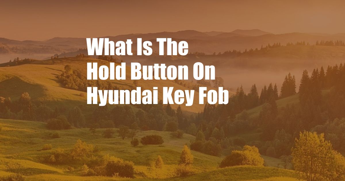What Is The Hold Button On Hyundai Key Fob