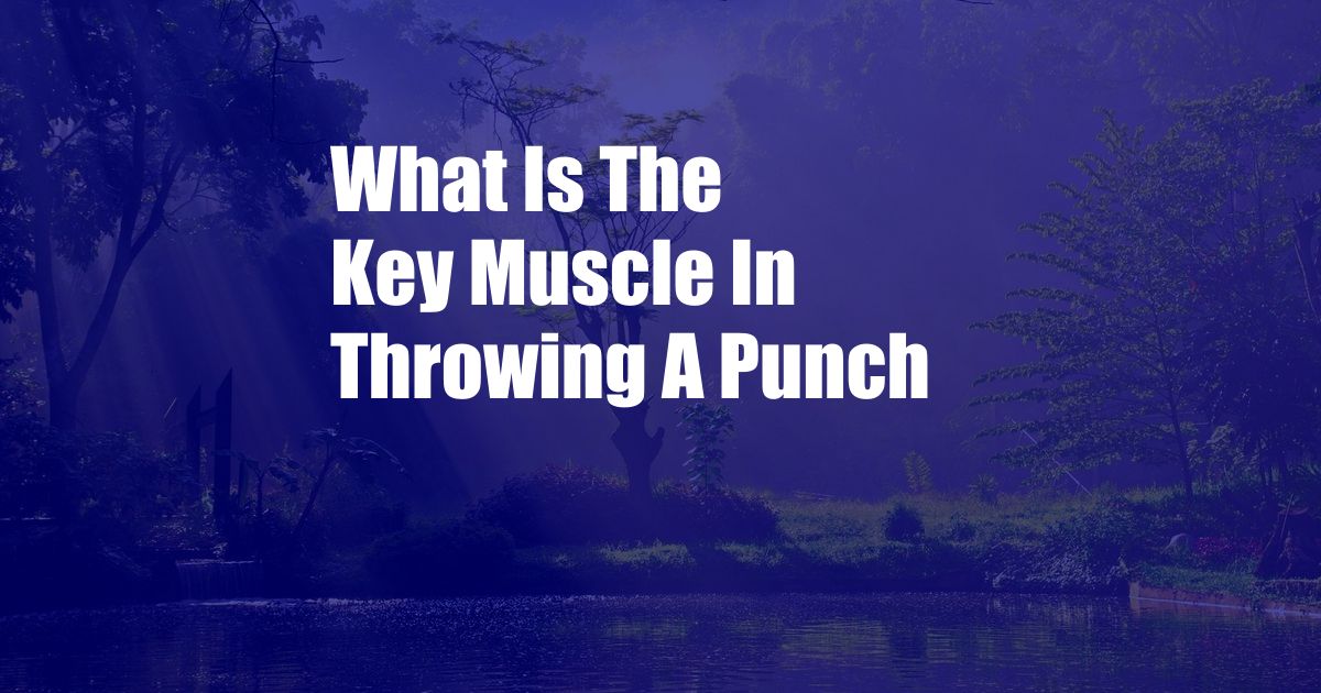 What Is The Key Muscle In Throwing A Punch