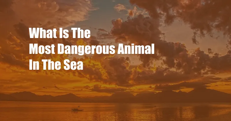 What Is The Most Dangerous Animal In The Sea