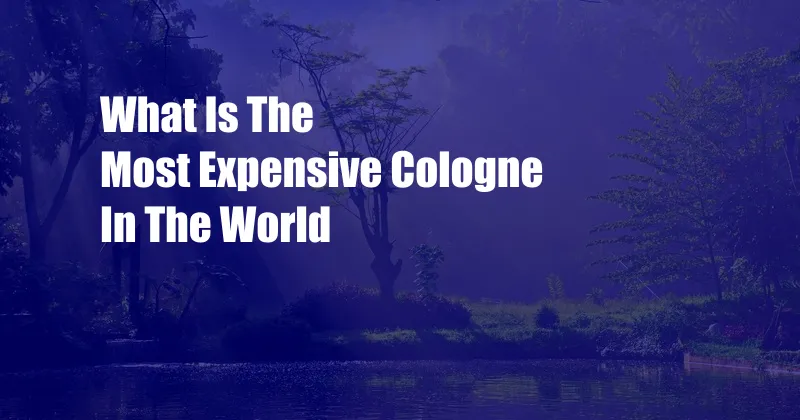 What Is The Most Expensive Cologne In The World