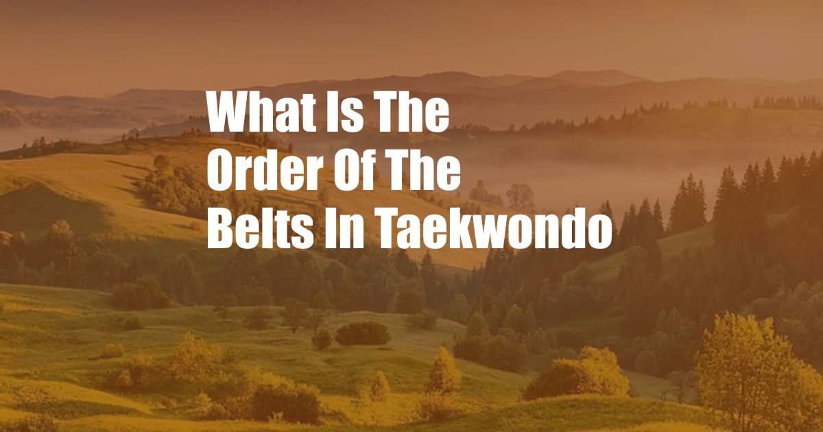 What Is The Order Of The Belts In Taekwondo