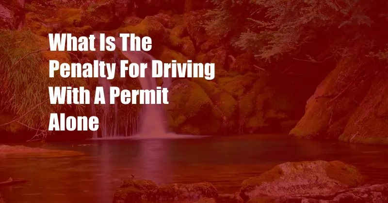 What Is The Penalty For Driving With A Permit Alone