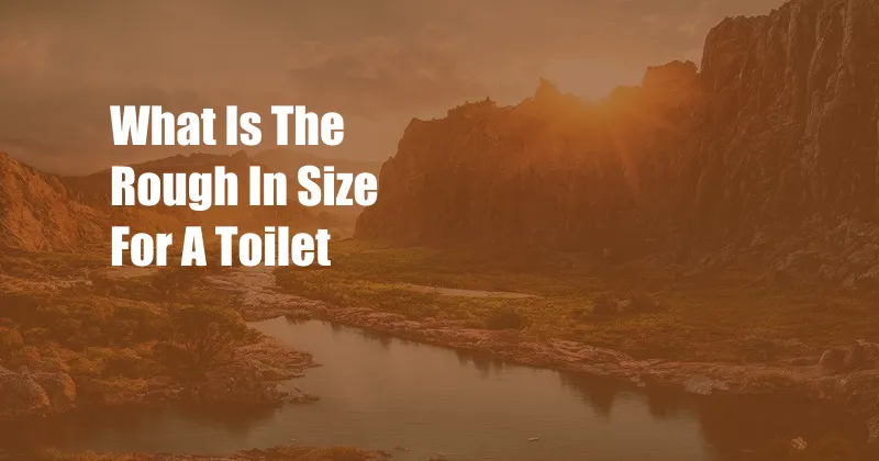 What Is The Rough In Size For A Toilet