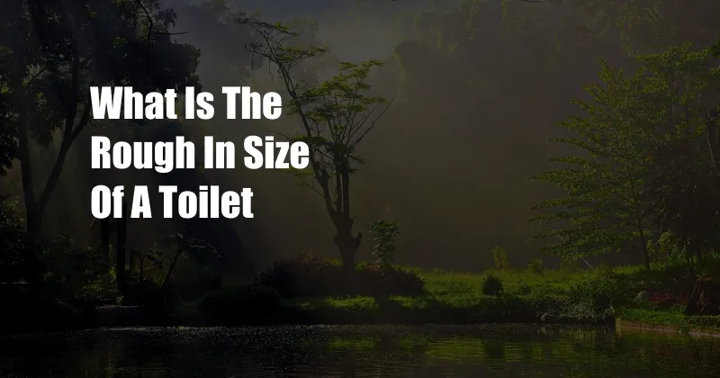 What Is The Rough In Size Of A Toilet