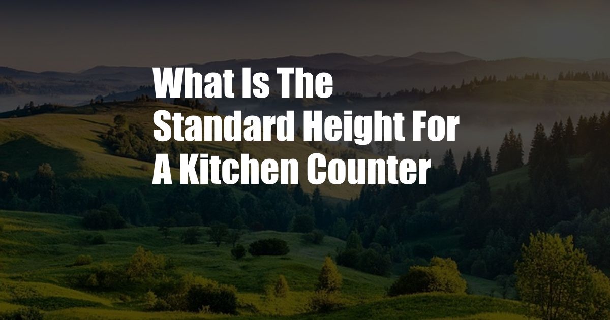 What Is The Standard Height For A Kitchen Counter