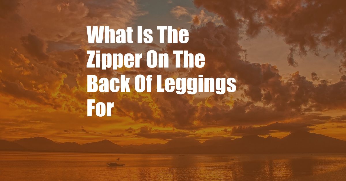 What Is The Zipper On The Back Of Leggings For