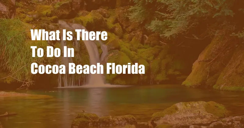 What Is There To Do In Cocoa Beach Florida