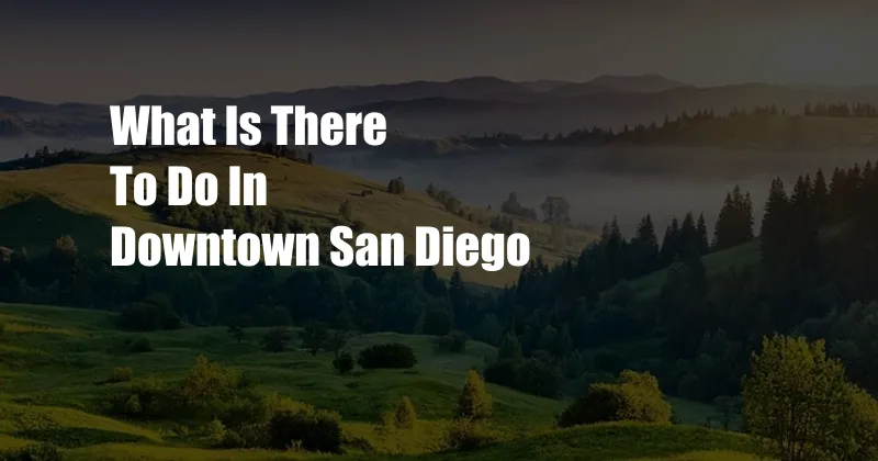 What Is There To Do In Downtown San Diego