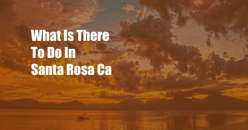 What Is There To Do In Santa Rosa Ca