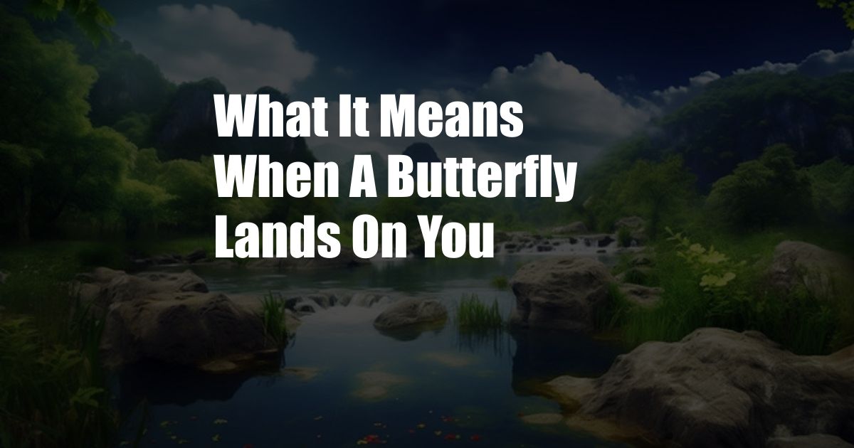 What It Means When A Butterfly Lands On You