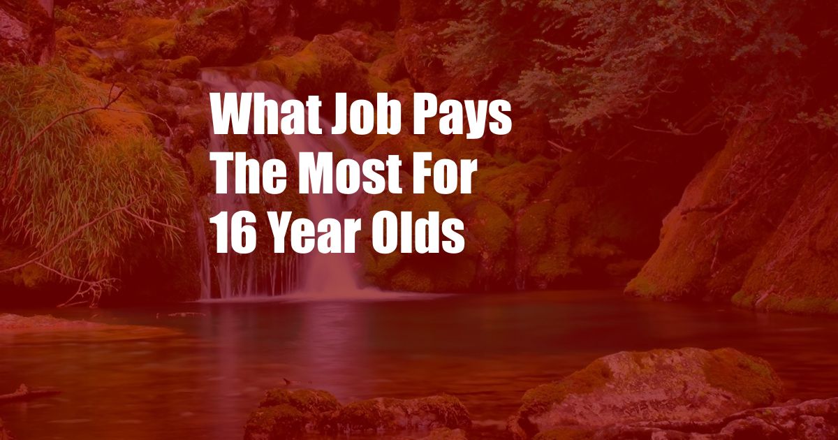 What Job Pays The Most For 16 Year Olds
