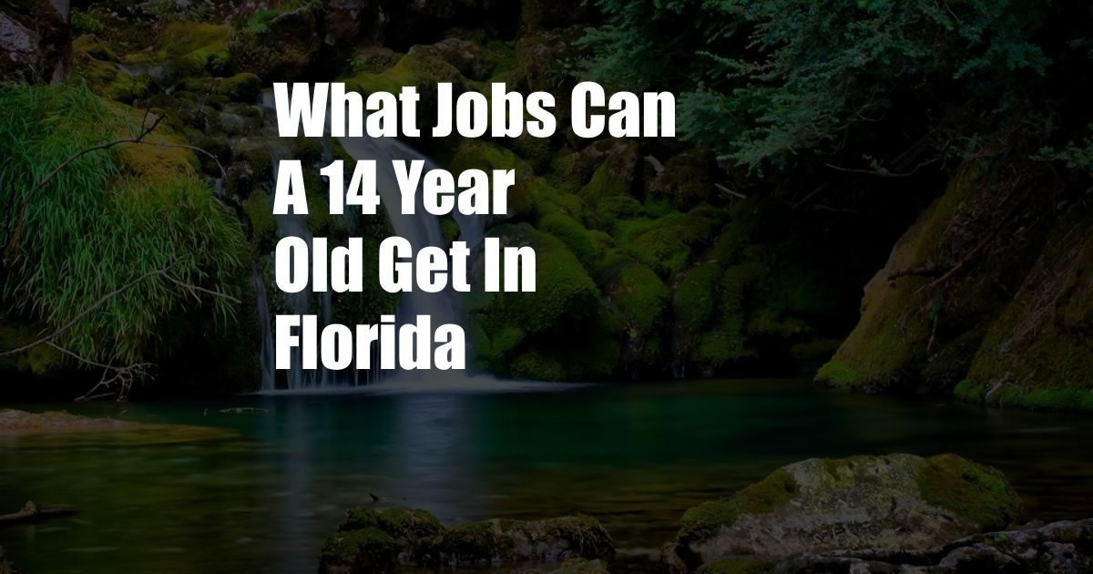 What Jobs Can A 14 Year Old Get In Florida