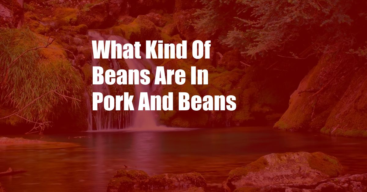 What Kind Of Beans Are In Pork And Beans