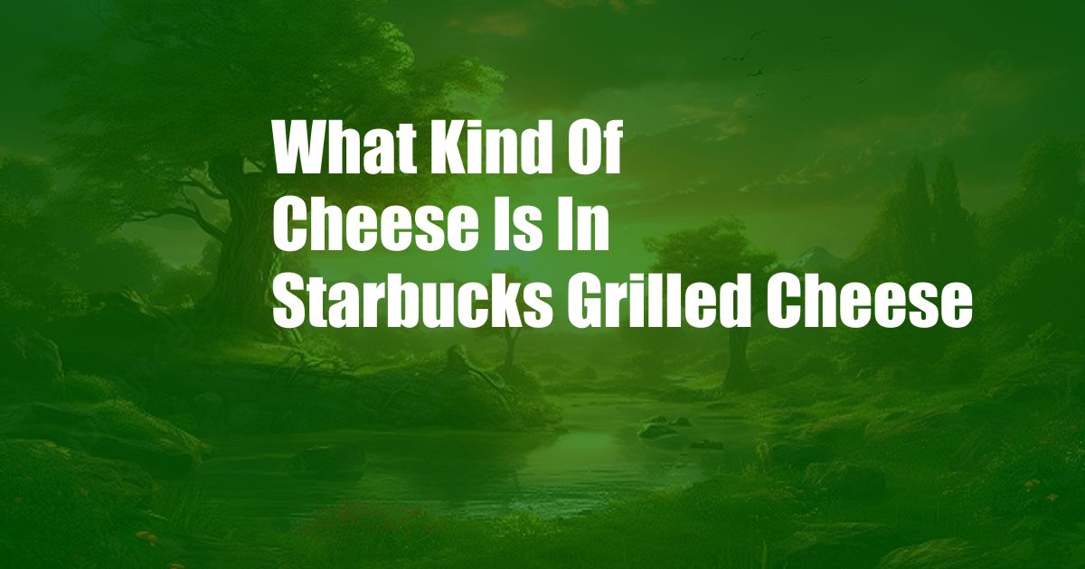 What Kind Of Cheese Is In Starbucks Grilled Cheese