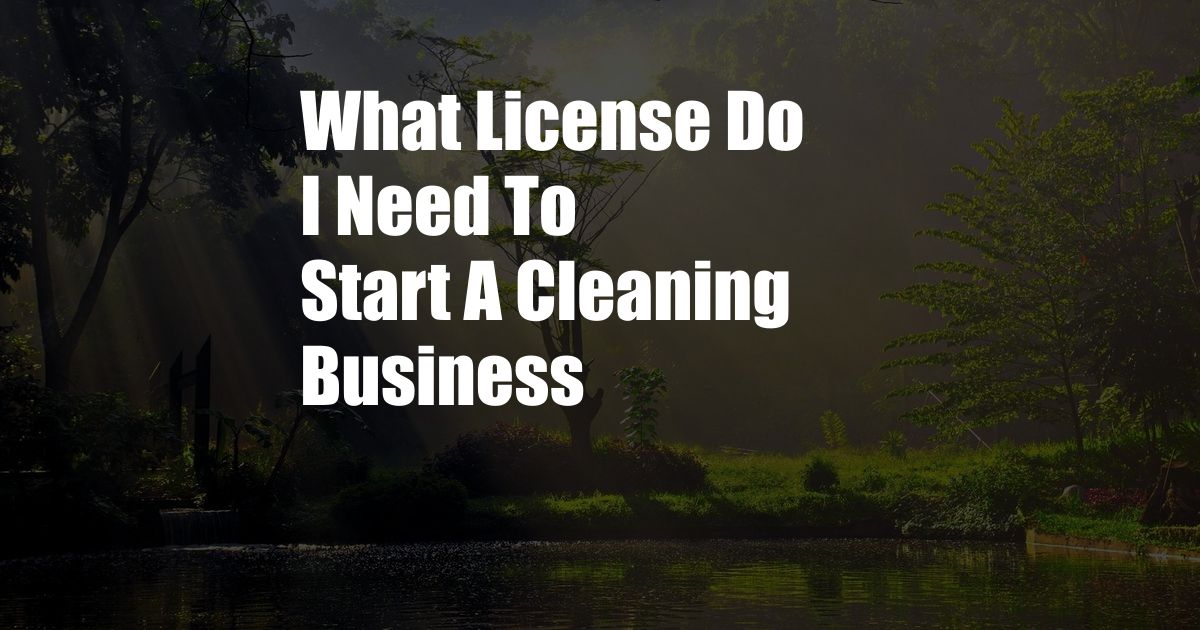 What License Do I Need To Start A Cleaning Business