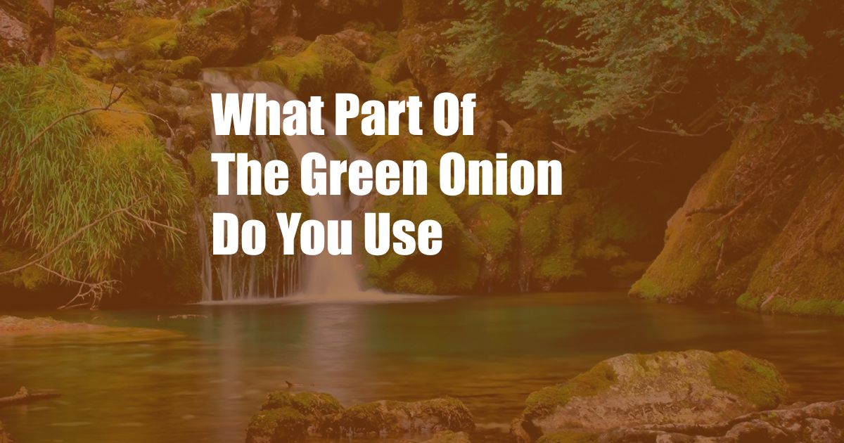 What Part Of The Green Onion Do You Use