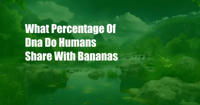 What Percentage Of Dna Do Humans Share With Bananas