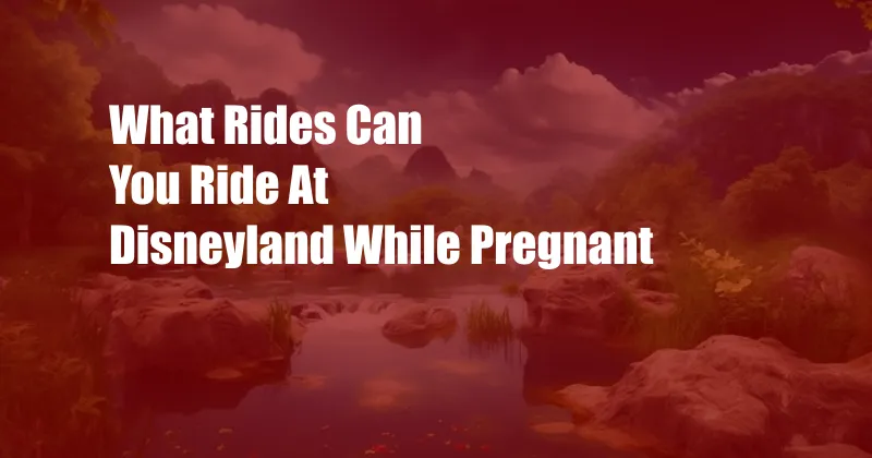 What Rides Can You Ride At Disneyland While Pregnant