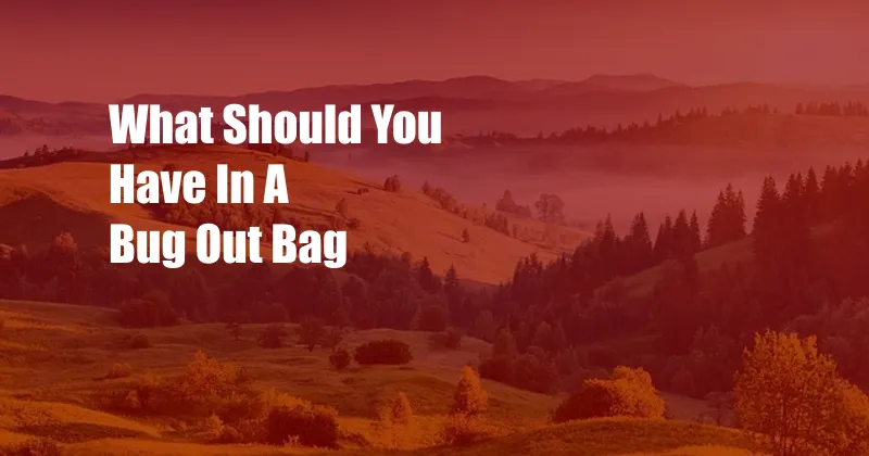 What Should You Have In A Bug Out Bag