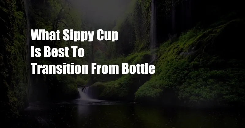 What Sippy Cup Is Best To Transition From Bottle