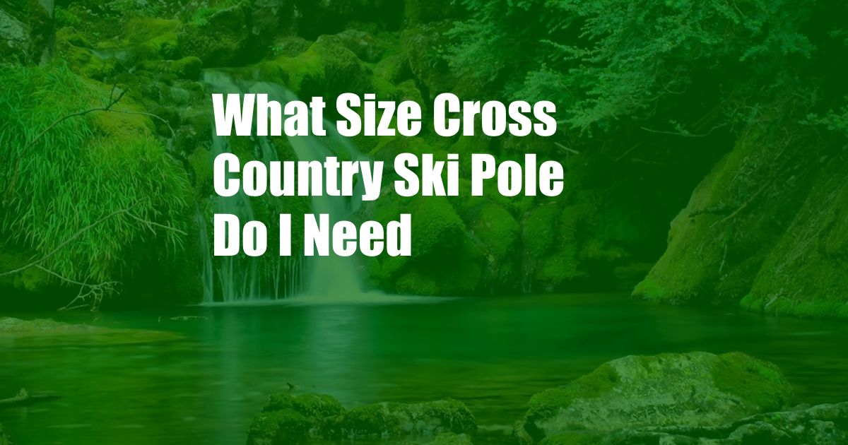 What Size Cross Country Ski Pole Do I Need