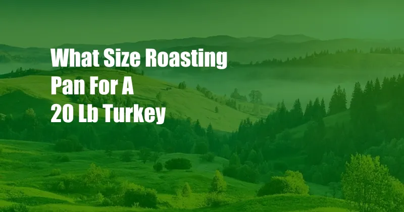 What Size Roasting Pan For A 20 Lb Turkey