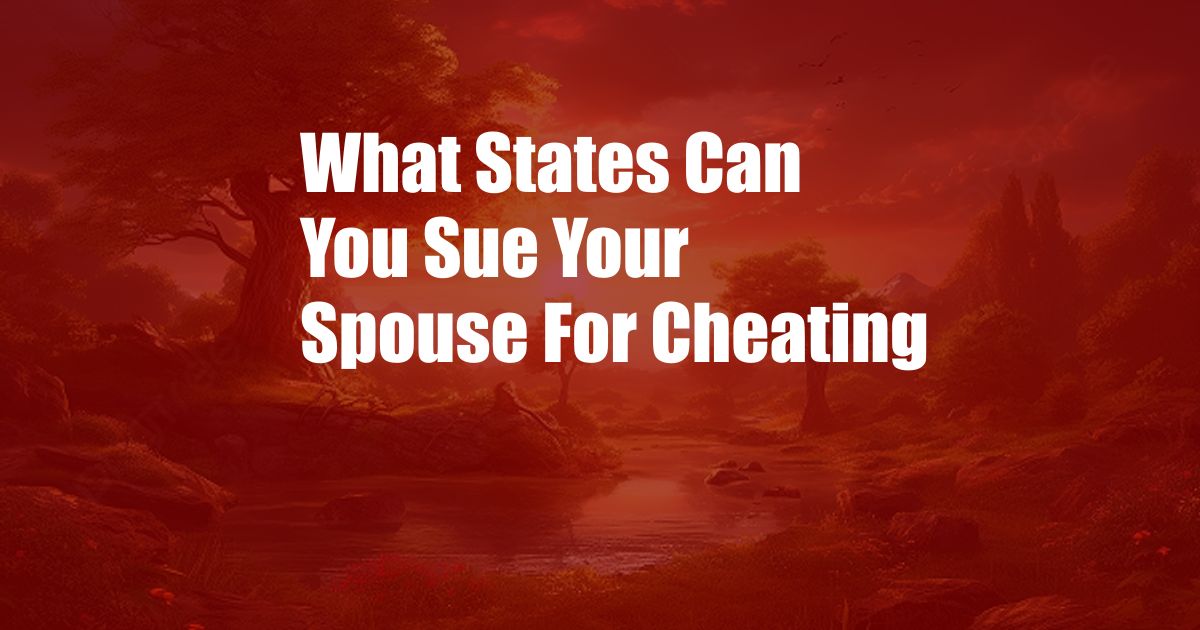 What States Can You Sue Your Spouse For Cheating