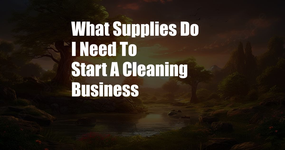 What Supplies Do I Need To Start A Cleaning Business