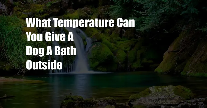 What Temperature Can You Give A Dog A Bath Outside