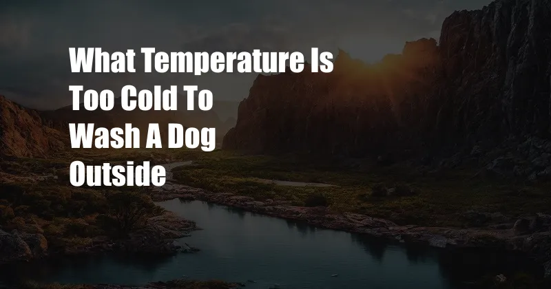 What Temperature Is Too Cold To Wash A Dog Outside