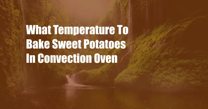 What Temperature To Bake Sweet Potatoes In Convection Oven