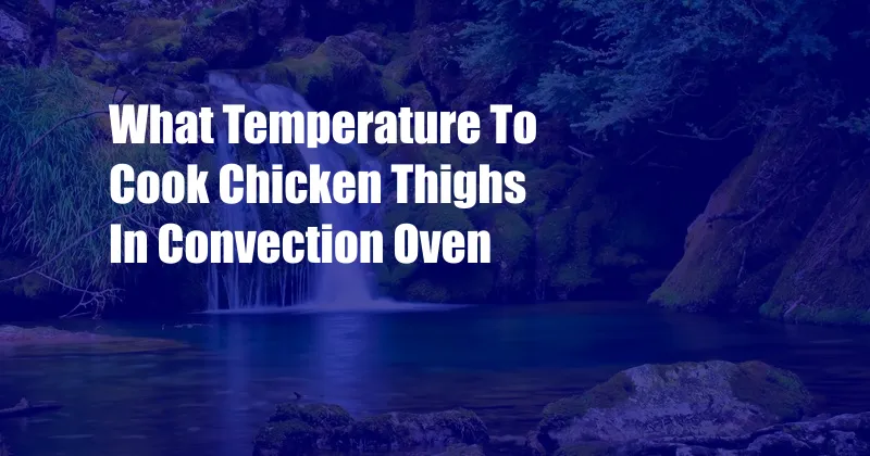 What Temperature To Cook Chicken Thighs In Convection Oven