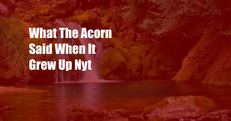What The Acorn Said When It Grew Up Nyt