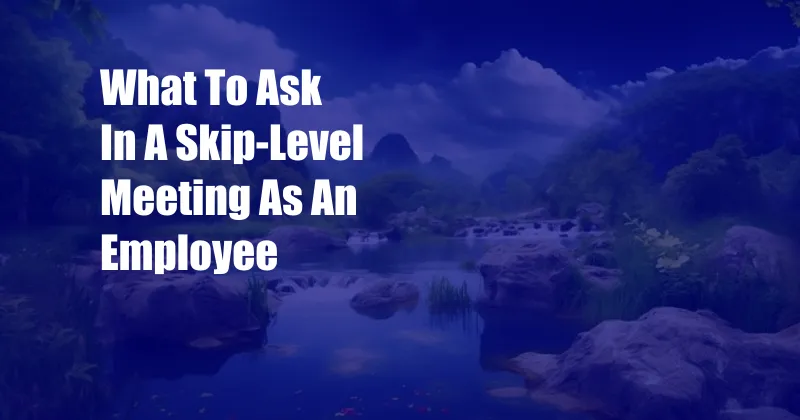 What To Ask In A Skip-Level Meeting As An Employee