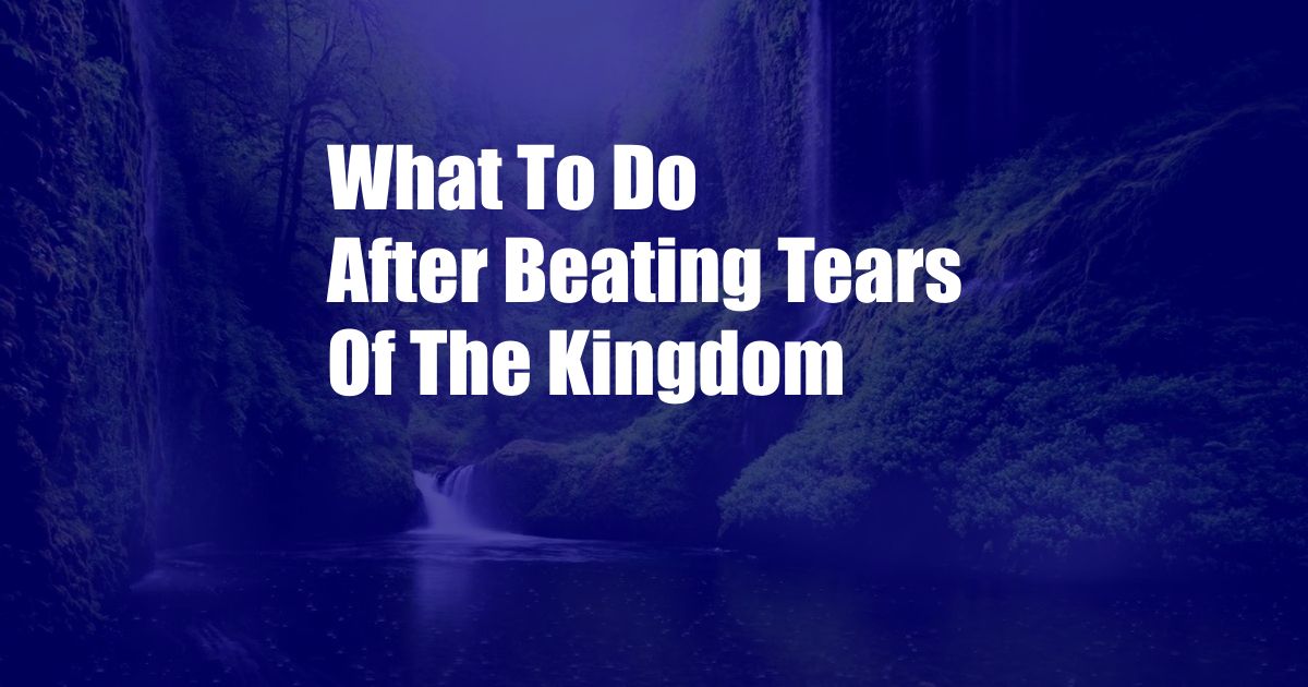What To Do After Beating Tears Of The Kingdom