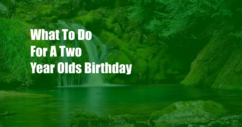 What To Do For A Two Year Olds Birthday