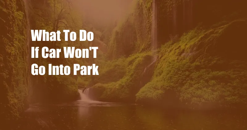What To Do If Car Won'T Go Into Park