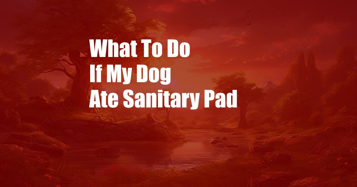 What To Do If My Dog Ate Sanitary Pad